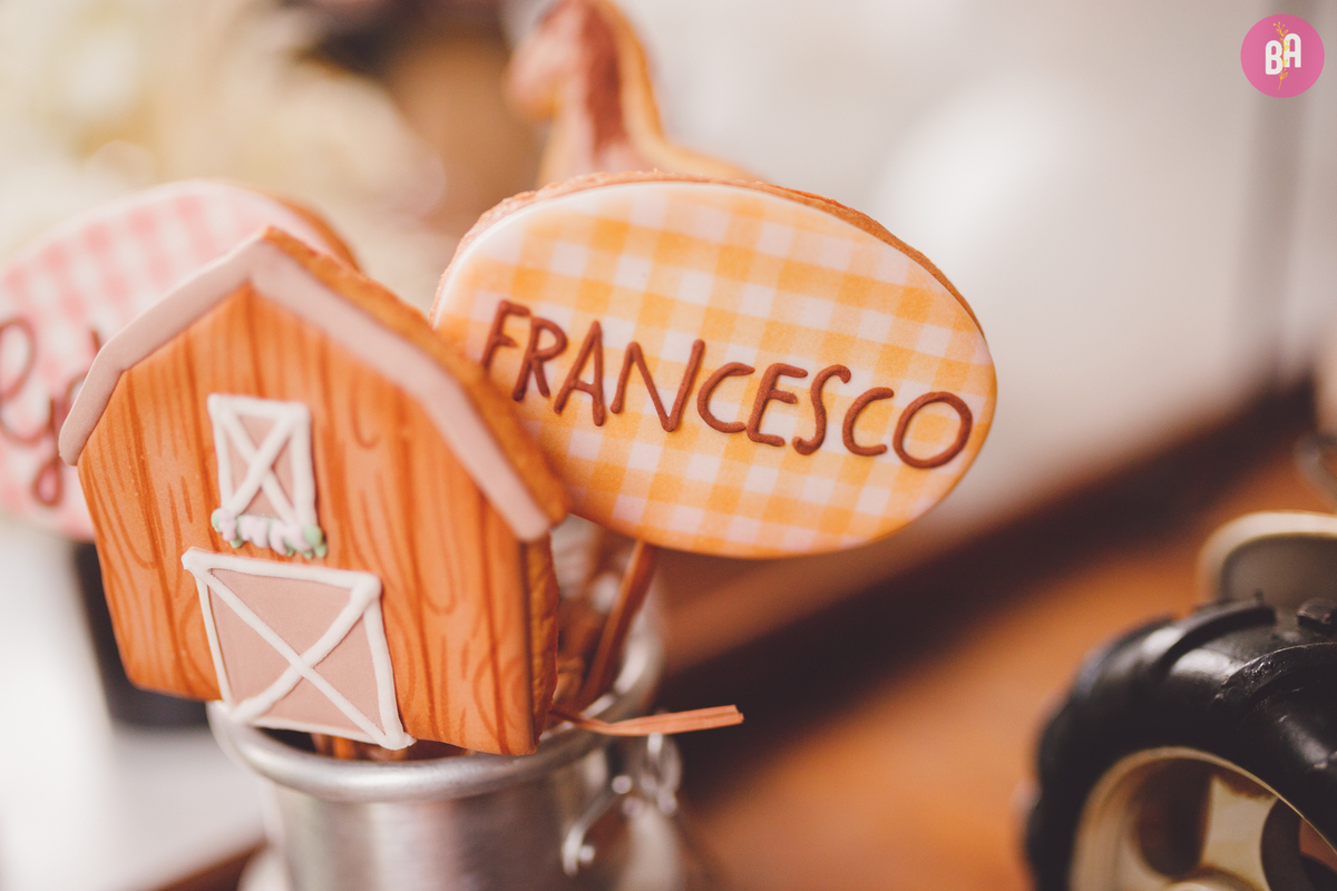 fotografa familia curitiba - aniversario 1 ano francesco