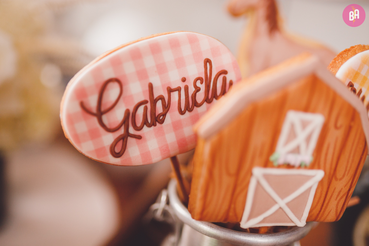 fotografa familia curitiba - aniversario 1 ano francesco