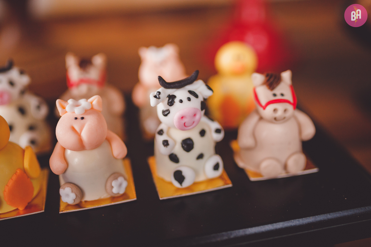 fotografa familia curitiba - aniversario 1 ano francesco