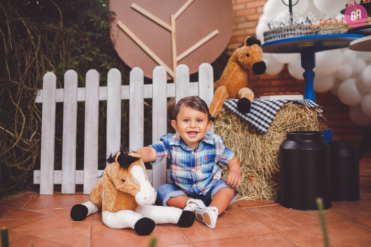 fotografa familia curitiba - aniversario 1 ano francesco