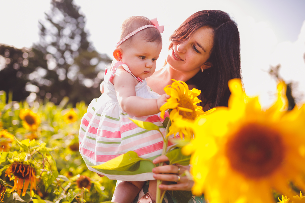 fotografa familia curitiba - ensaio no campo girassol