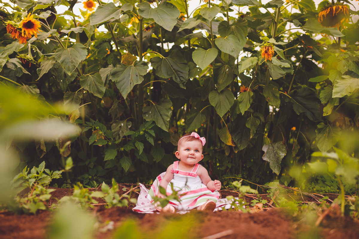 fotografa familia curitiba - ensaio no campo girassol