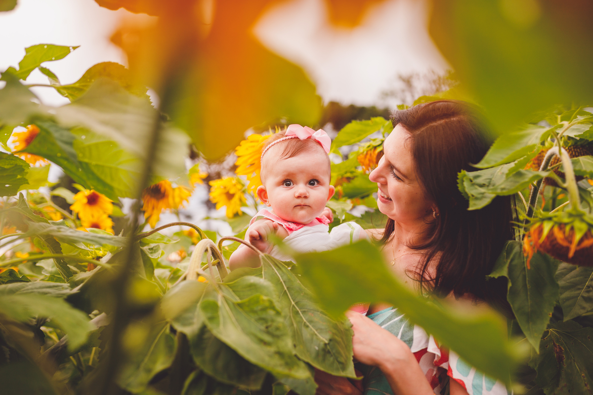 fotografa familia curitiba - ensaio no campo girassol