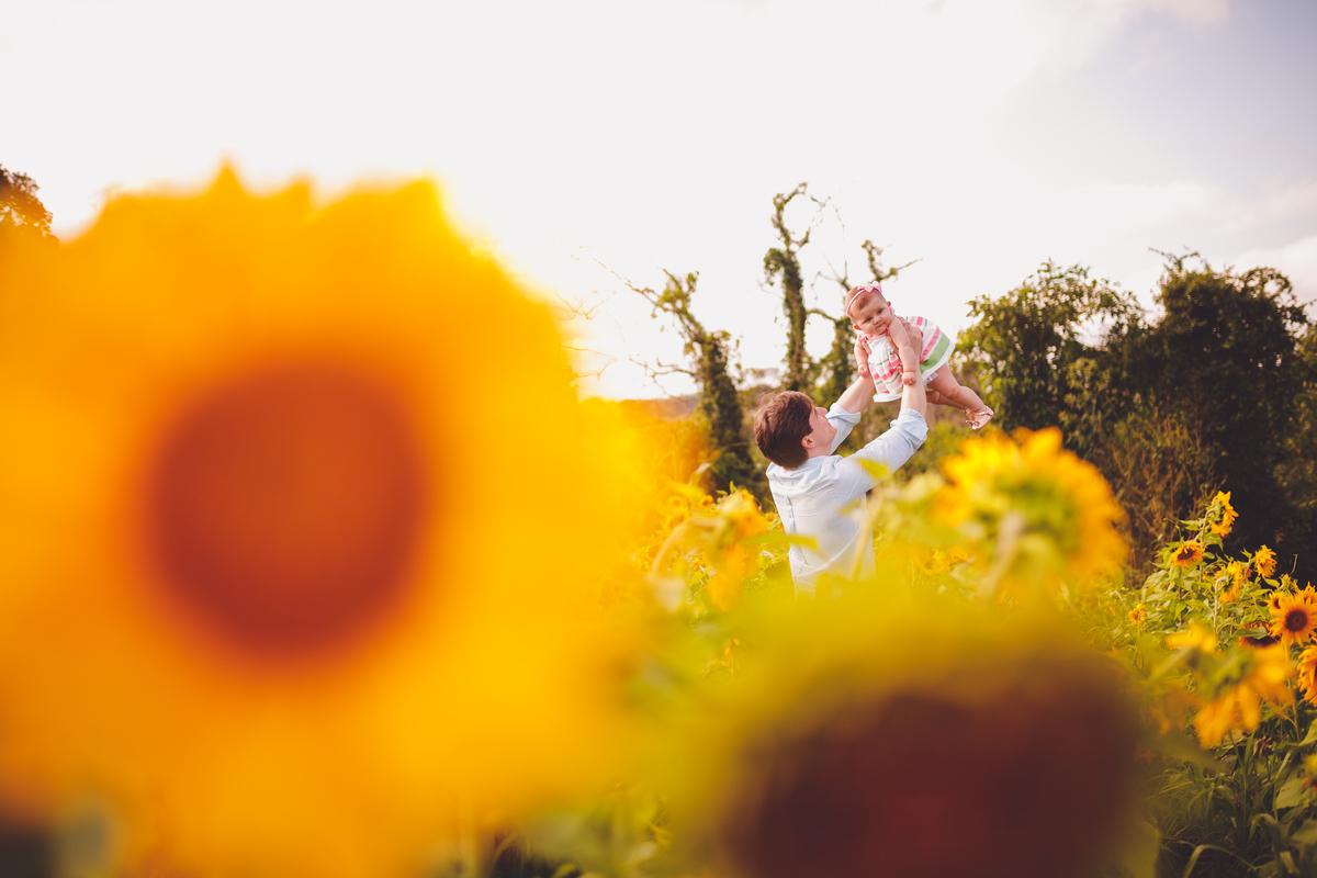 fotografa familia curitiba - ensaio no campo girassol