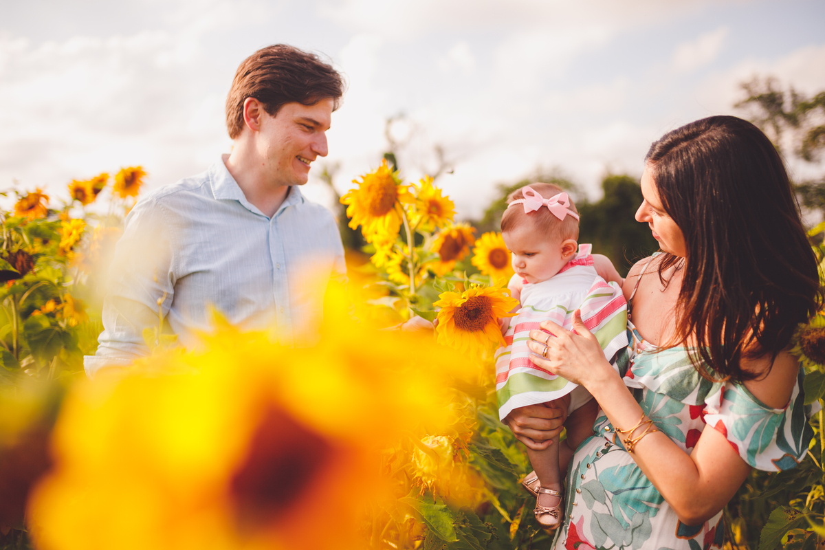 fotografa familia curitiba - ensaio no campo girassol