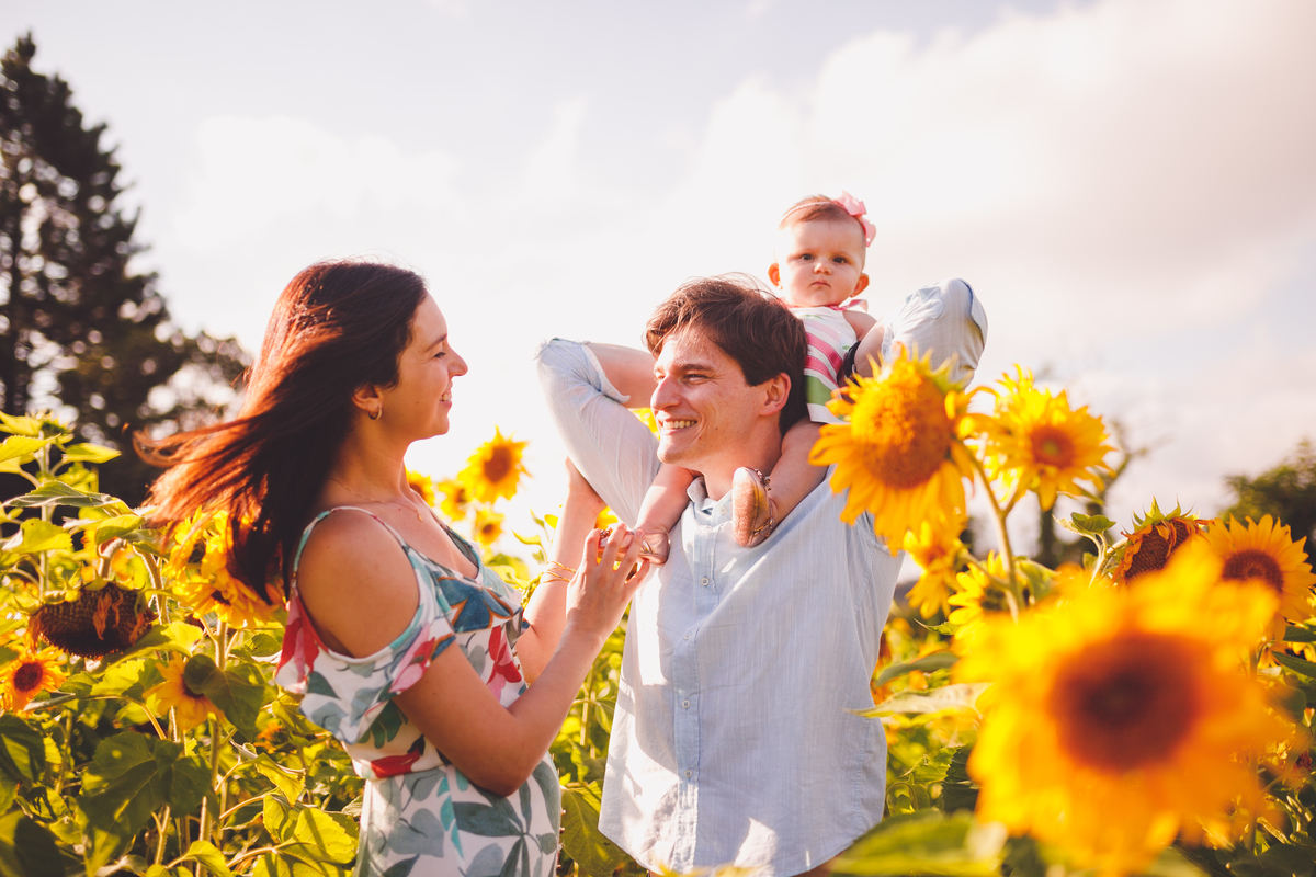 fotografa familia curitiba - ensaio no campo girassol