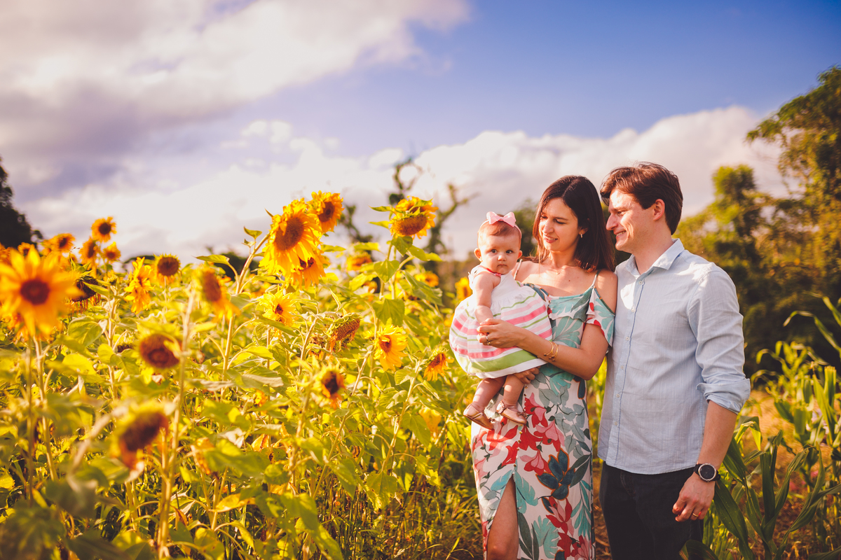 fotografa familia curitiba - ensaio no campo girassol