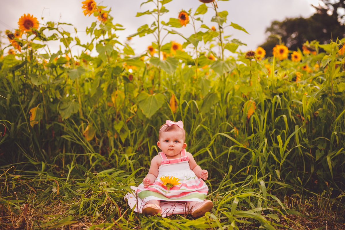 fotografa familia curitiba - ensaio no campo girassol