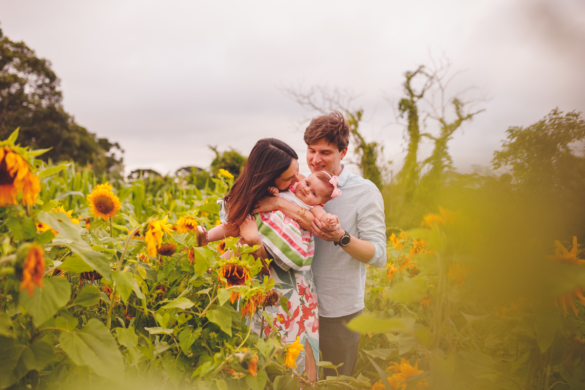 fotografa familia curitiba - ensaio no campo girassol
