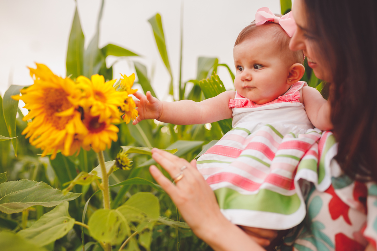 fotografa familia curitiba - ensaio no campo girassol