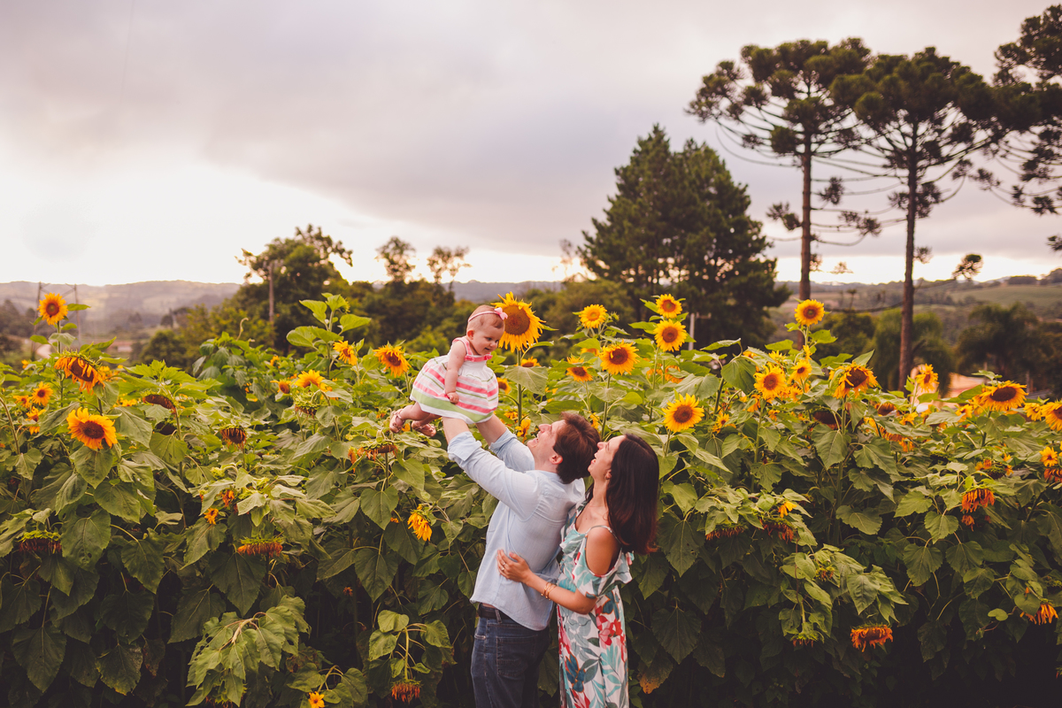 fotografa familia curitiba - ensaio no campo girassol