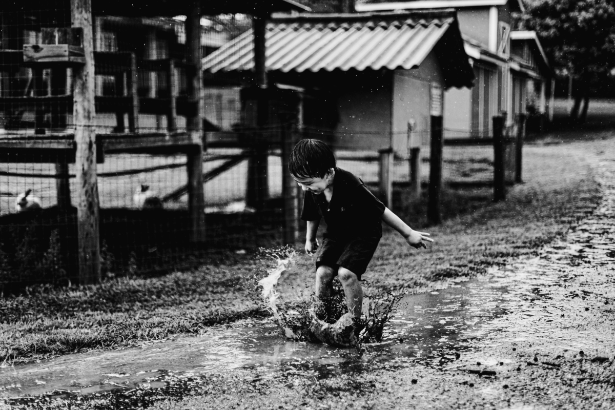 fotografa familia curitiba - Lucas na fazenda vila dos animais