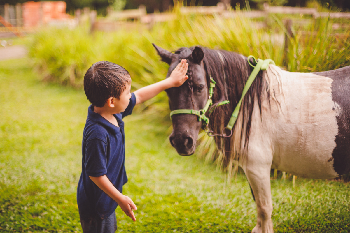 fotografa familia curitiba - Lucas na fazenda vila dos animais