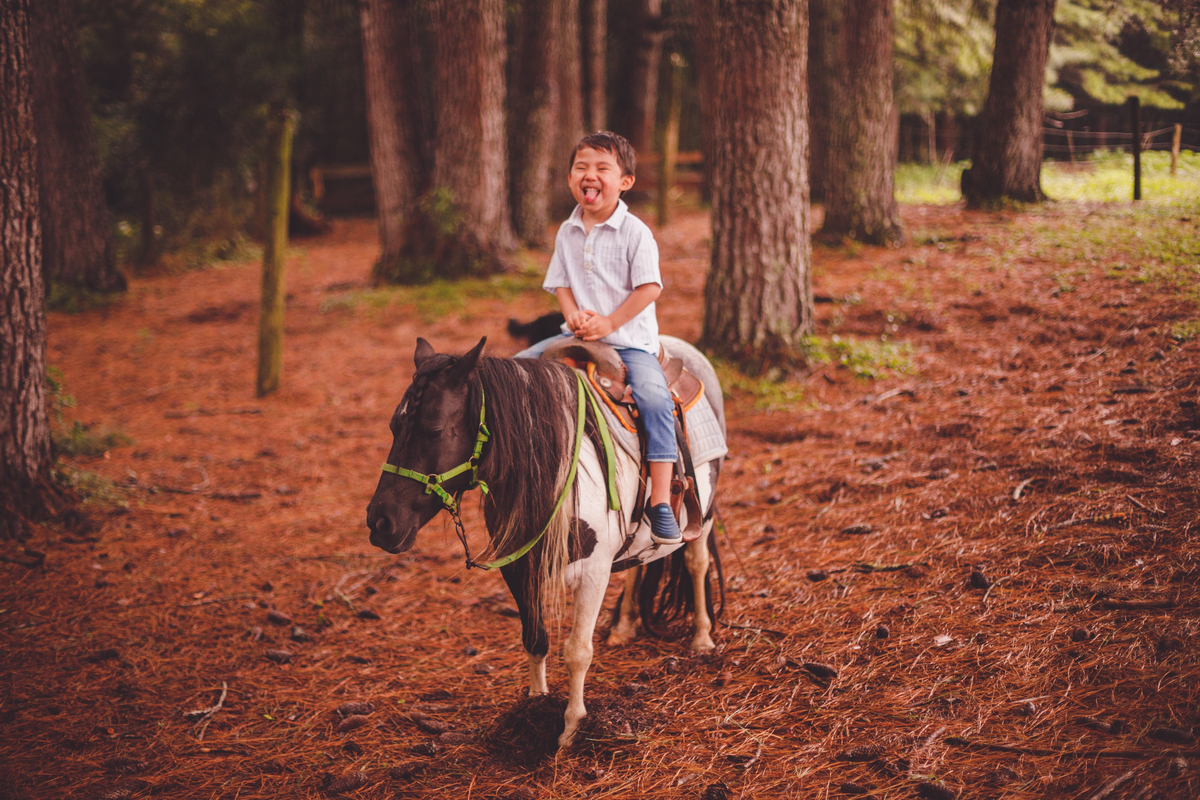 fotografa familia curitiba - Lucas na fazenda vila dos animais