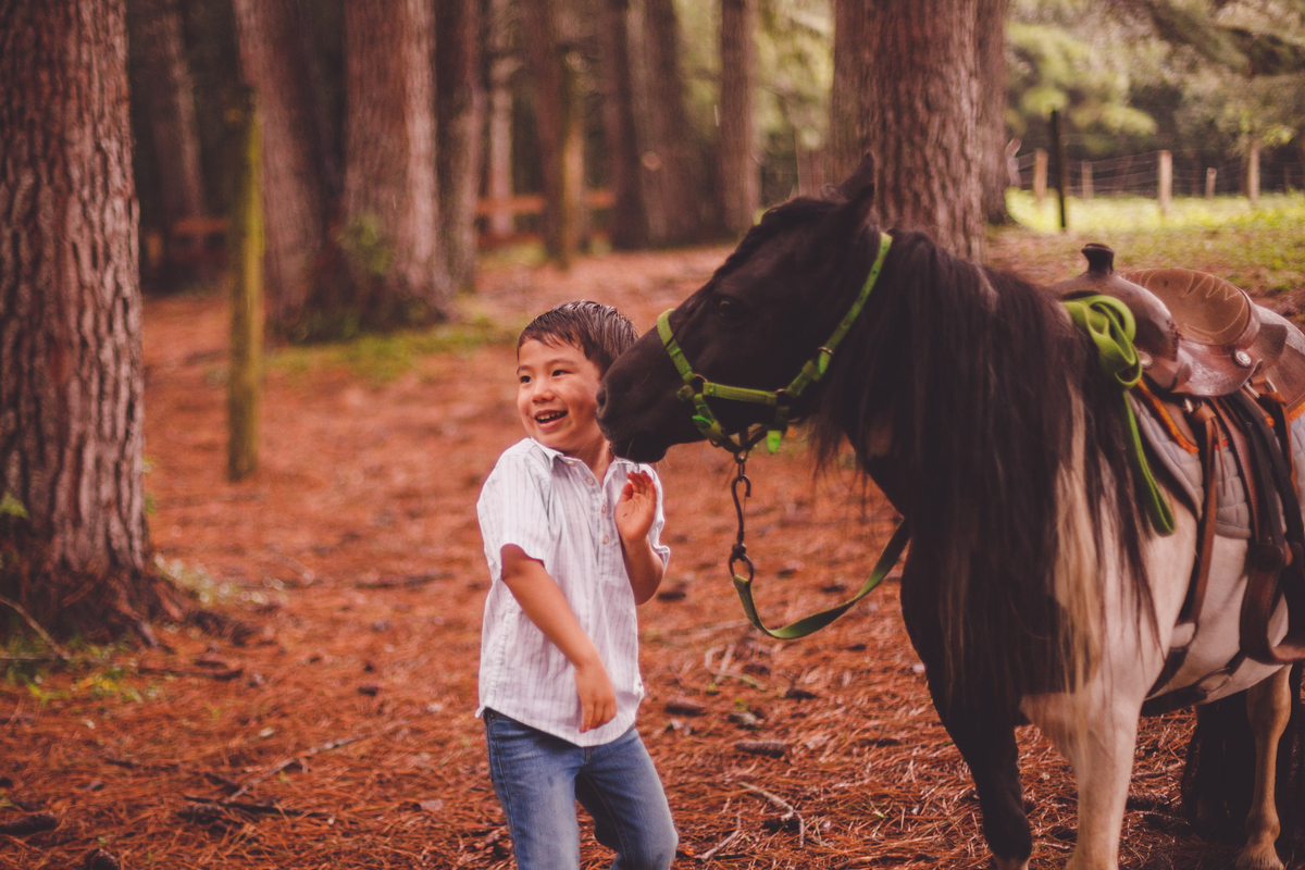 fotografa familia curitiba - Lucas na fazenda vila dos animais