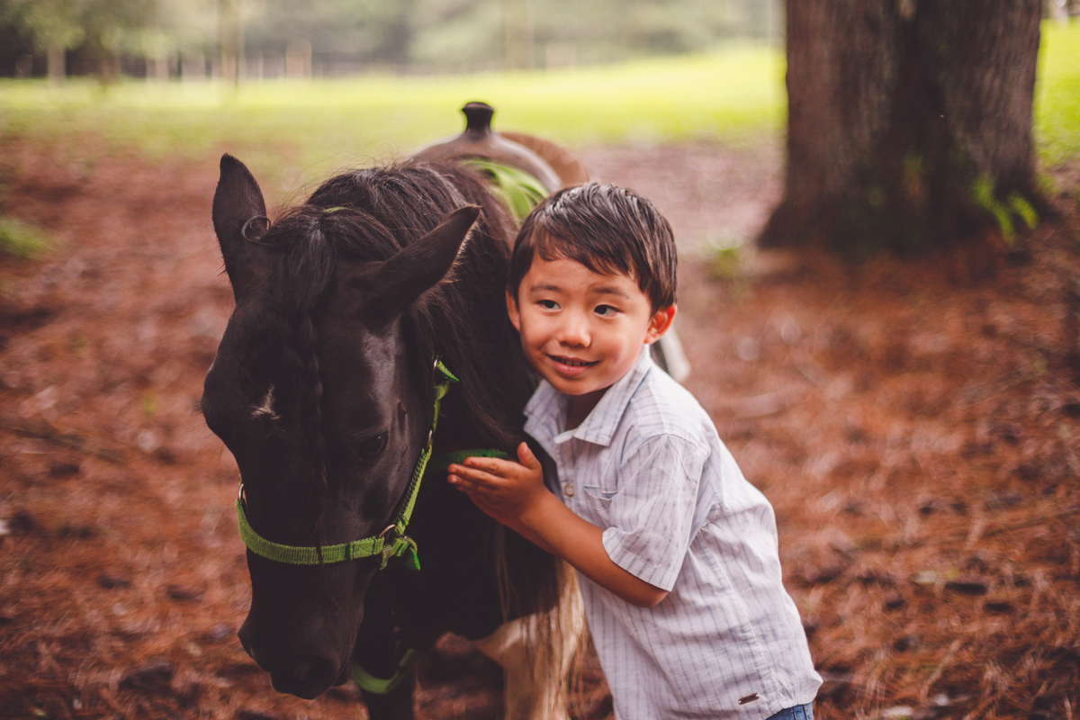 fotografa familia curitiba - Lucas na fazenda vila dos animais