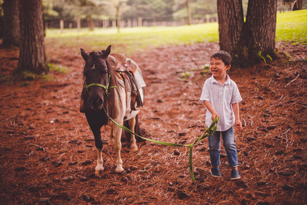 fotografa familia curitiba - Lucas na fazenda vila dos animais