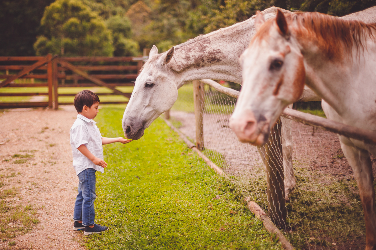 fotografa familia curitiba - Lucas na fazenda vila dos animais