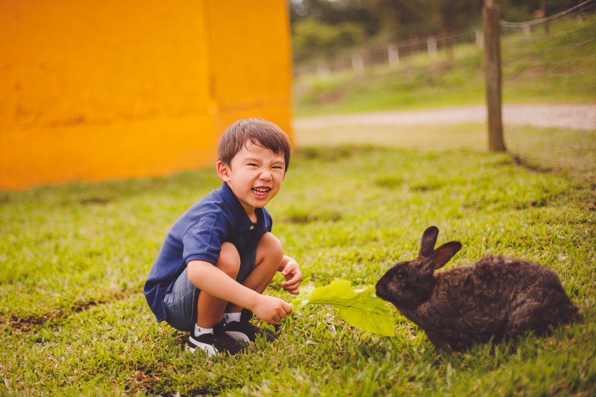 fotografa familia curitiba - Lucas na fazenda vila dos animais