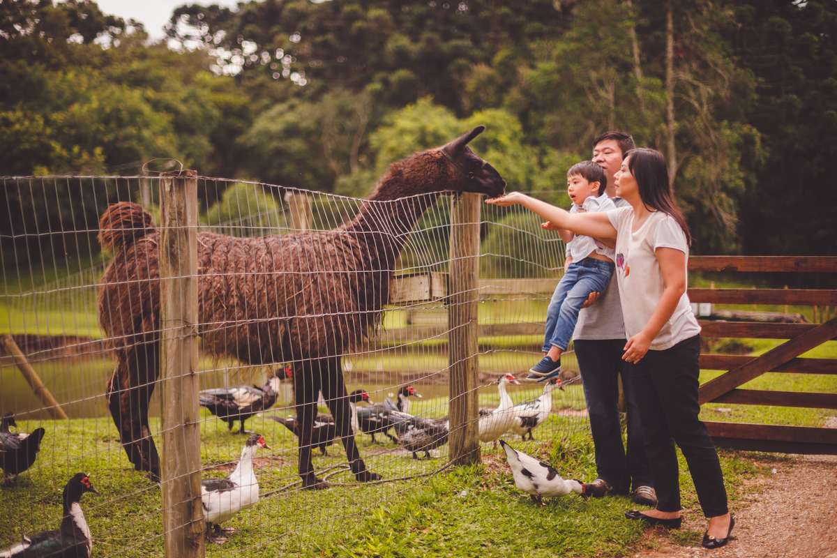 fotografa familia curitiba - Lucas na fazenda vila dos animais