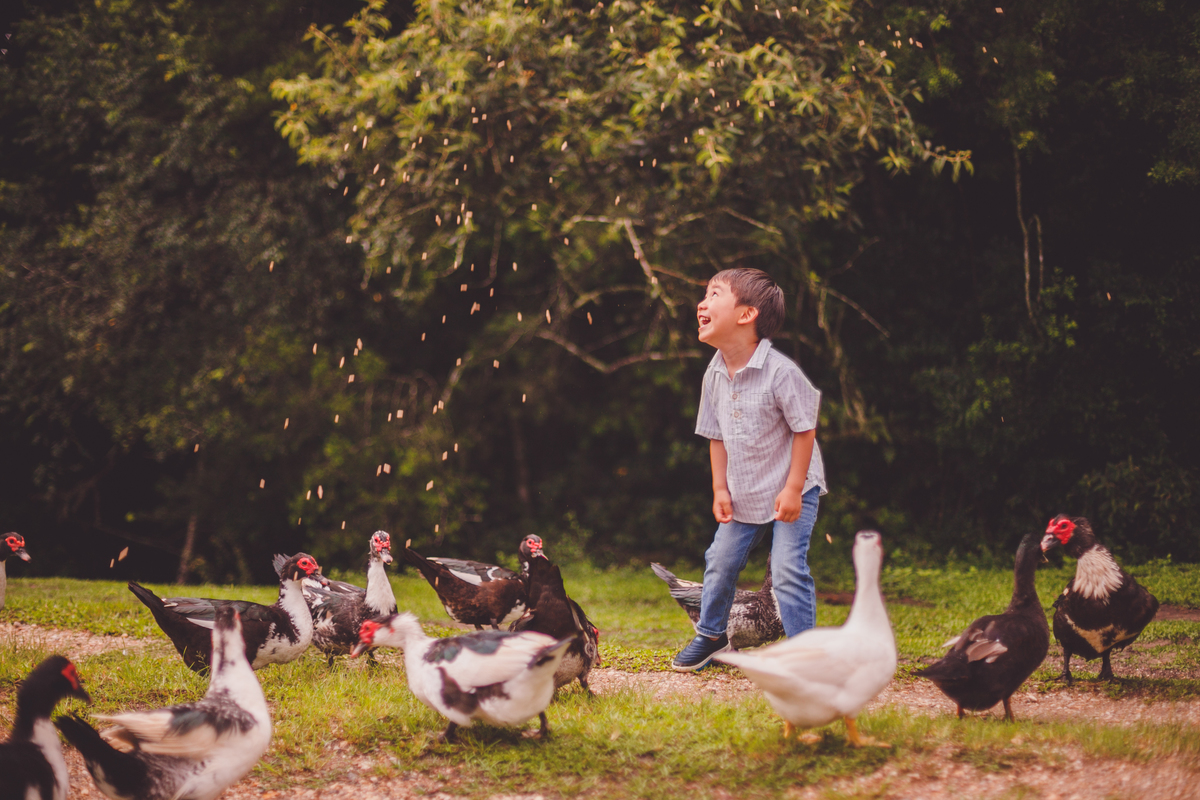 fotografa familia curitiba - Lucas na fazenda vila dos animais