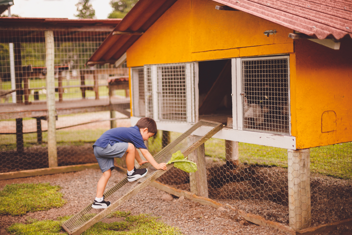 fotografa familia curitiba - Lucas na fazenda vila dos animais