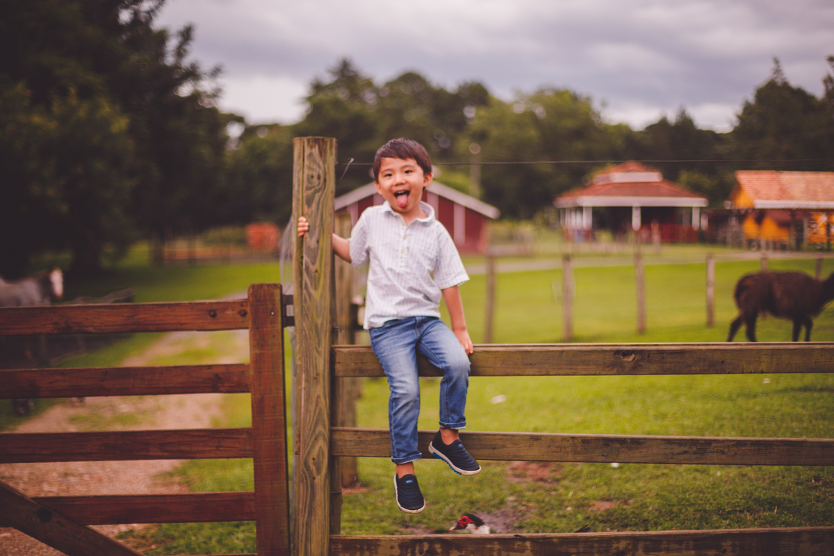 fotografa familia curitiba - Lucas na fazenda vila dos animais
