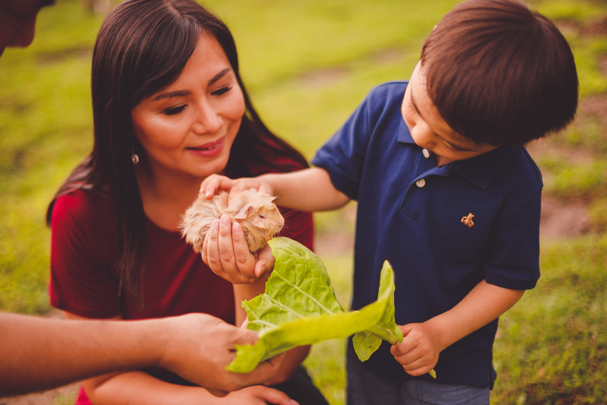 fotografa familia curitiba - Lucas na fazenda vila dos animais