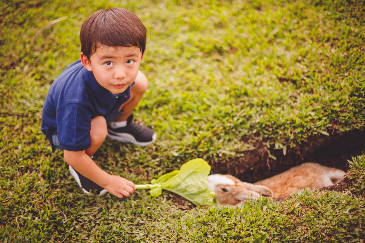 fotografa familia curitiba - Lucas na fazenda vila dos animais