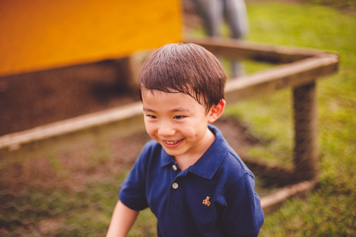 fotografa familia curitiba - Lucas na fazenda vila dos animais