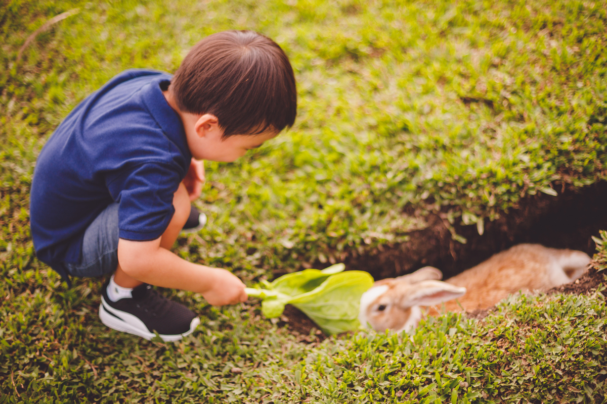 fotografa familia curitiba - Lucas na fazenda vila dos animais