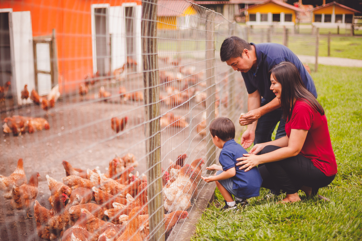 fotografa familia curitiba - Lucas na fazenda vila dos animais