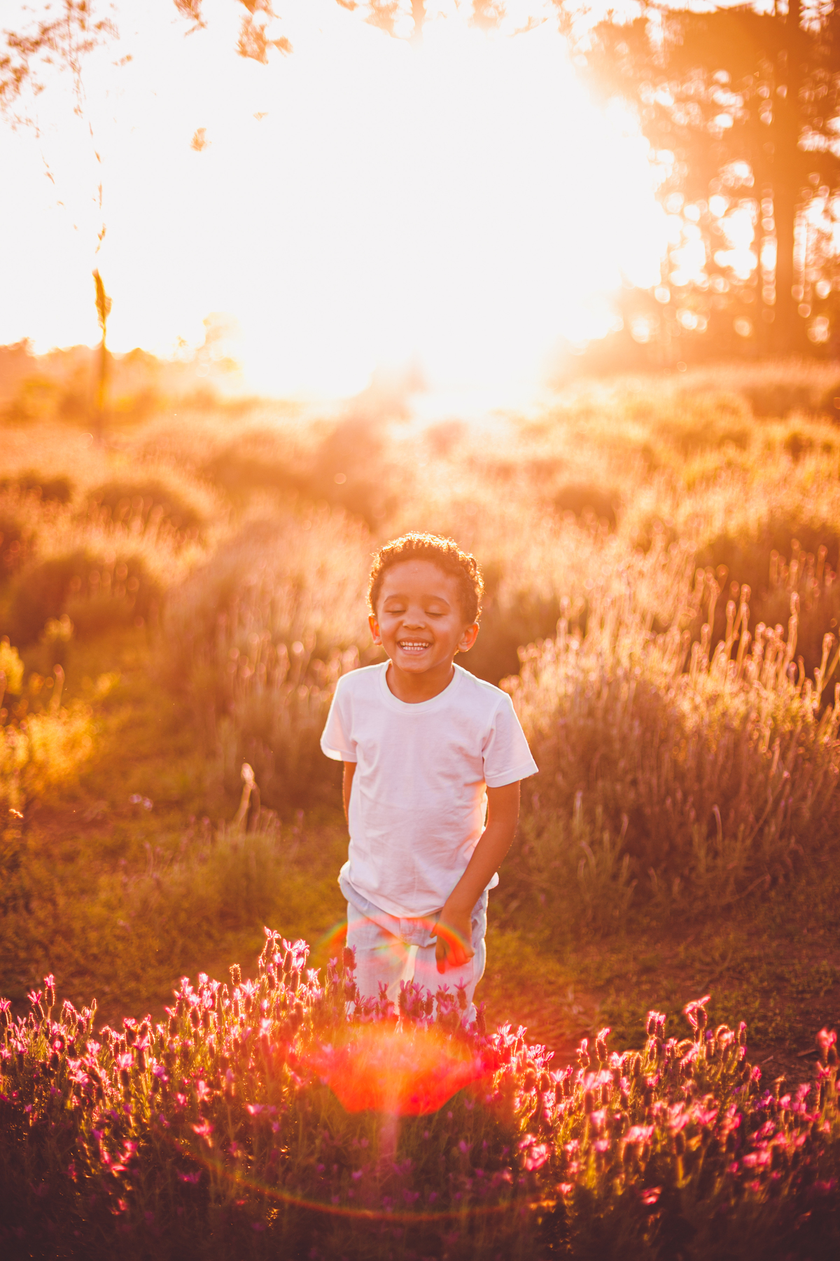fotografa familia curitiba - ensaio campo lavanda colonia witmarsun