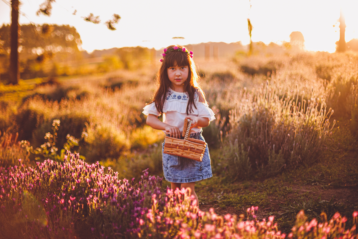 fotografa familia curitiba - ensaio campo lavanda colonia witmarsun
