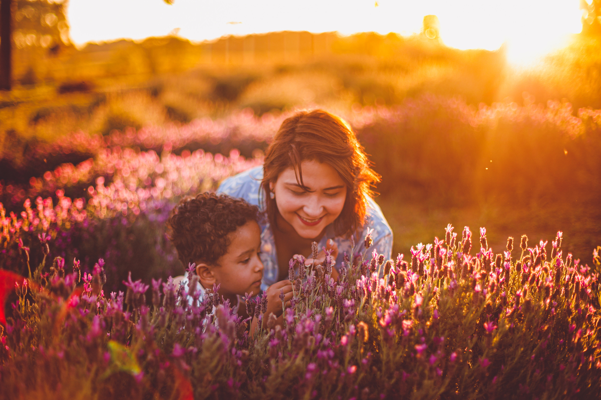fotografa familia curitiba - ensaio campo lavanda colonia witmarsun