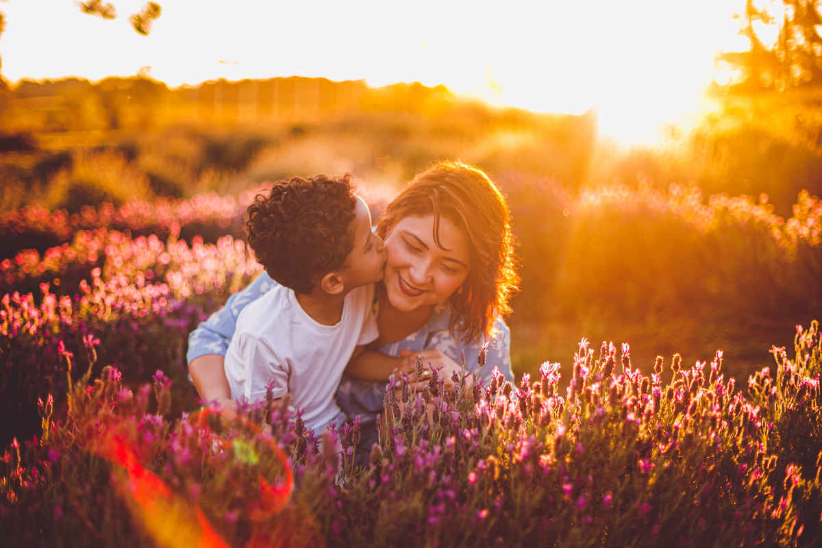 fotografa familia curitiba - ensaio campo lavanda colonia witmarsun