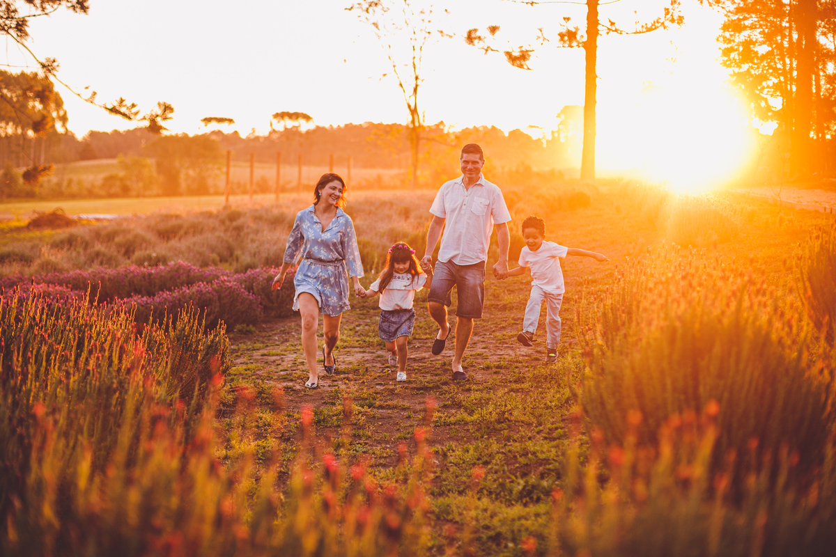 fotografa familia curitiba - ensaio campo lavanda colonia witmarsun