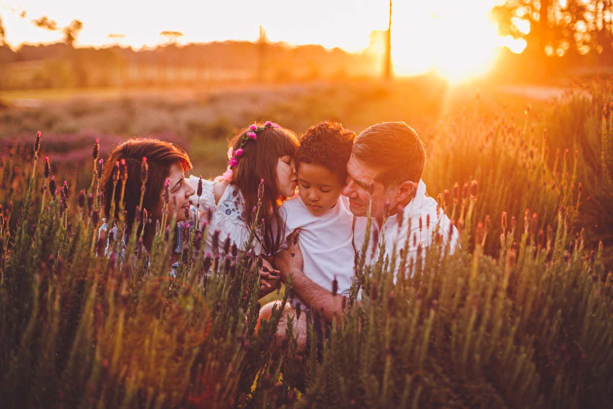 fotografa familia curitiba - ensaio campo lavanda colonia witmarsun