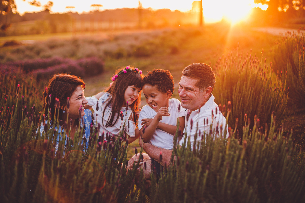 fotografa familia curitiba - ensaio campo lavanda colonia witmarsun