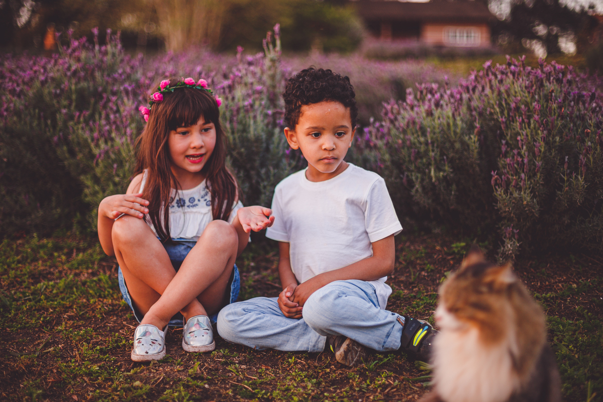 fotografa familia curitiba - ensaio campo lavanda colonia witmarsun