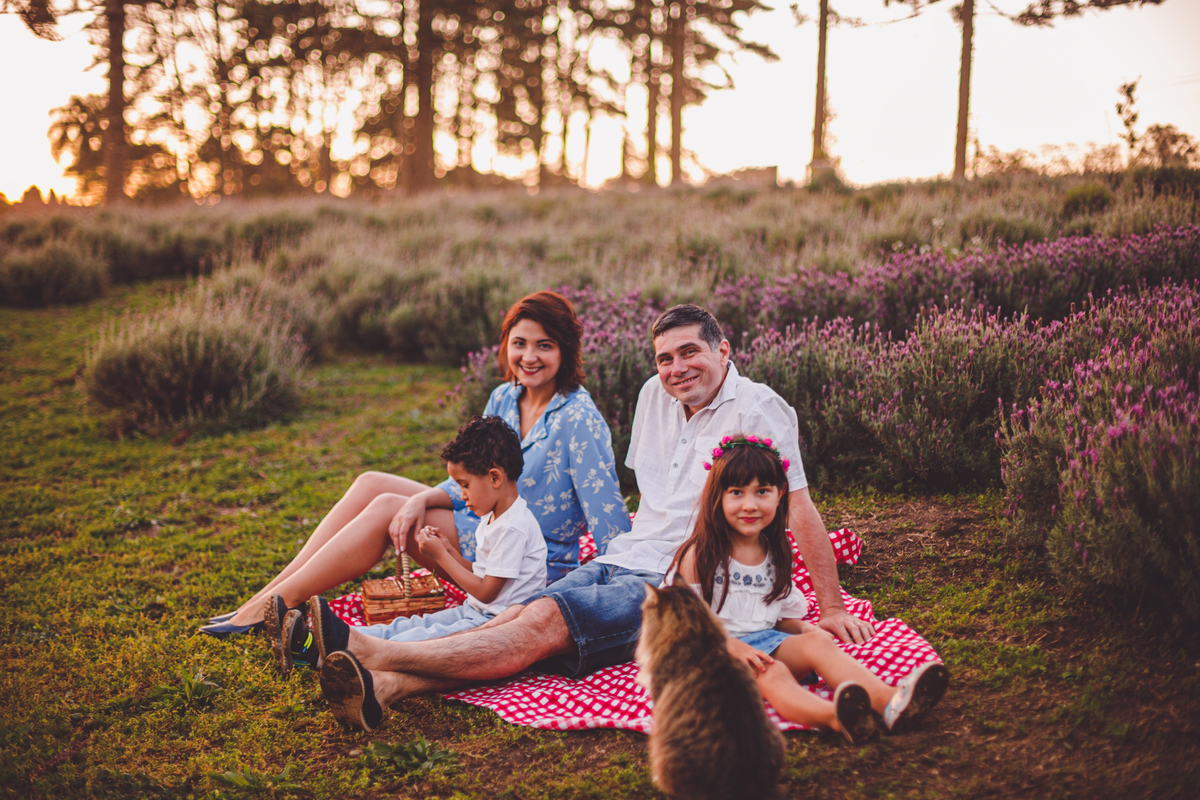 fotografa familia curitiba - ensaio campo lavanda colonia witmarsun