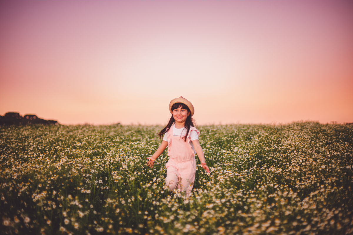 fotografa familia curitiba - ensaio campo de camomila criança infantil externo por do sol