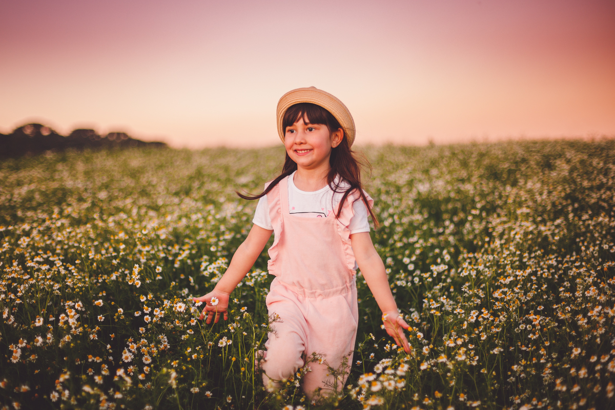 fotografa familia curitiba - ensaio campo de camomila criança infantil externo por do sol