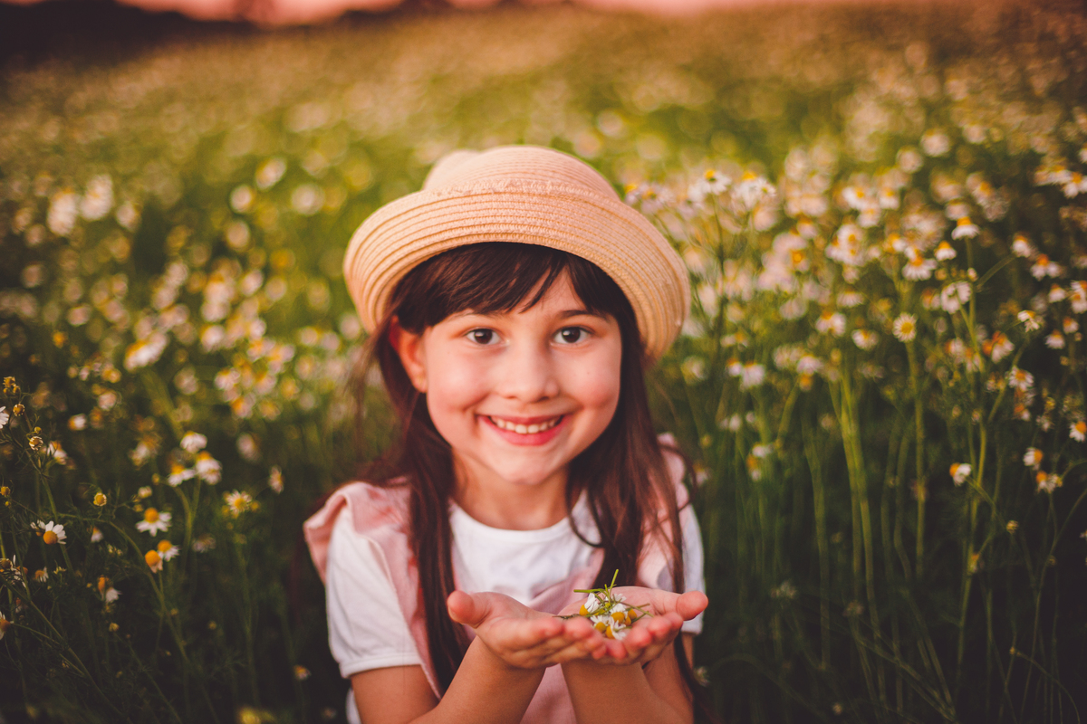 fotografa familia curitiba - ensaio campo de camomila criança infantil externo por do sol