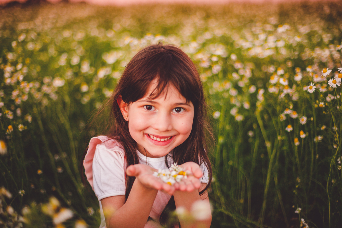 fotografa familia curitiba - ensaio campo de camomila criança infantil externo por do sol