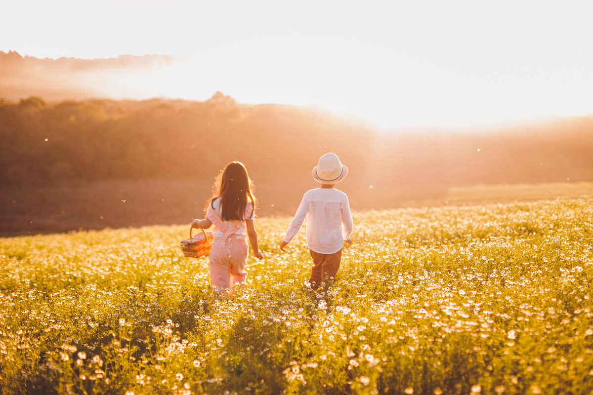 fotografa familia curitiba - ensaio campo de camomila criança infantil externo por do sol