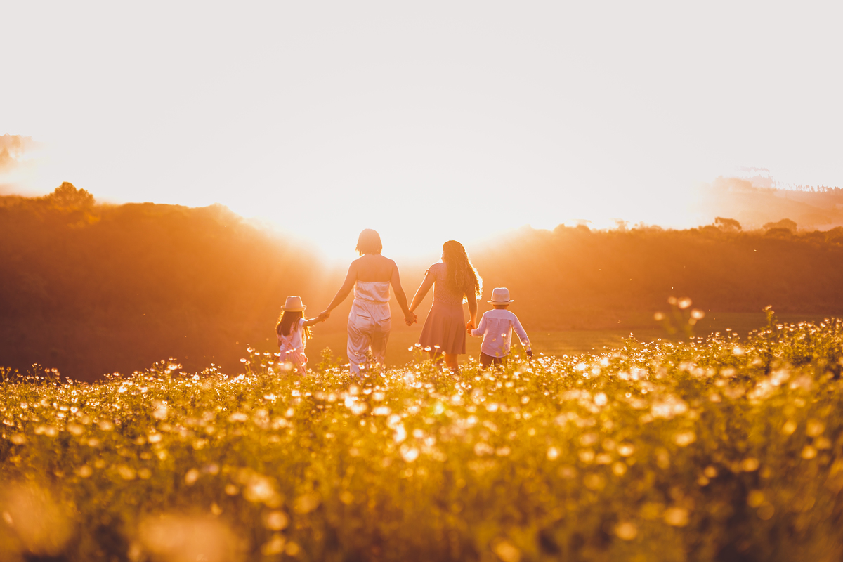 fotografa familia curitiba - ensaio campo de camomila criança infantil externo por do sol