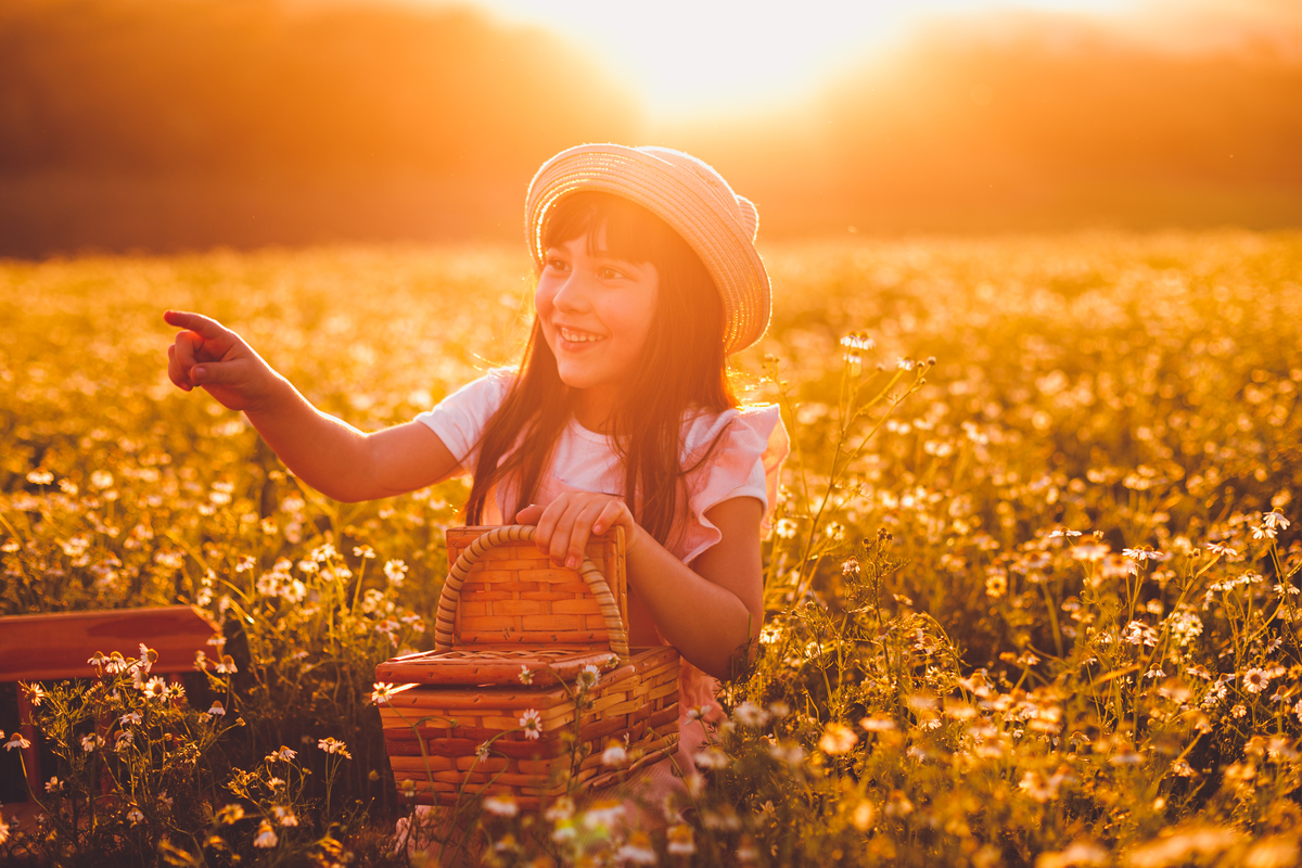 fotografa familia curitiba - ensaio campo de camomila criança infantil externo por do sol