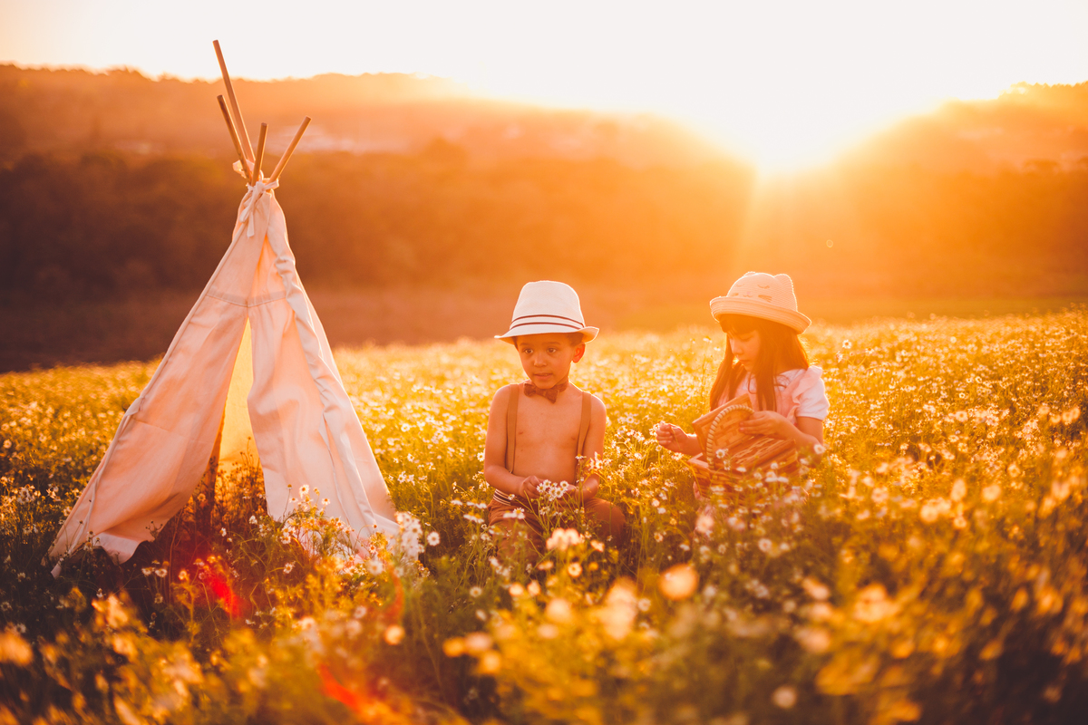 fotografa familia curitiba - ensaio campo de camomila criança infantil externo por do sol