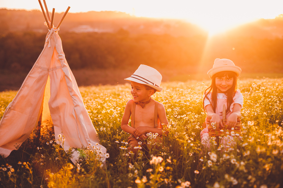 fotografa familia curitiba - ensaio campo de camomila criança infantil externo por do sol